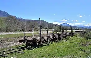 Flachwagen für den Holztransport