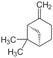 Struktur von (+)-β-Pinen