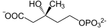 Phosphomevalonat