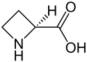 (S)-Azetidin-2-carbonsäure