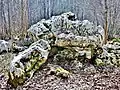 Dolmen in Trépot