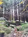 Wedge Tomb von Kilmashogue – die Kammer