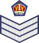 Dienstgradabzeichen eines Flight Sergeant