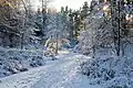 Krumme Lake im Winter