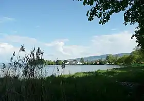 Steinach am Bodensee, von Arbon her gesehen