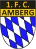 1. FC Amberg