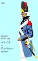 101e Régiment d’infanterie de ligne 1791 bis 1792