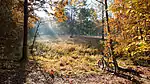 Krumme Lake im Herbst