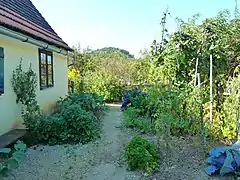 Hausgarten mit historischen Nutzpflanzen