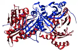 4-Hydroxyphenylpyruvat-Dioxygenase