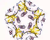 Das Choleratoxin-B-Pentamer (CTB), Blick von oben auf die Achse