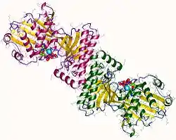 Mevalonatkinase