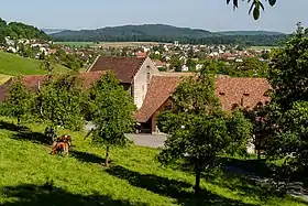 Hofgut des Schlosses Wildegg, im Hintergrund Möriken