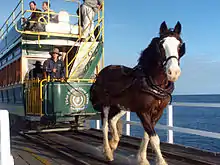 Pferdestraßenbahn mit Clydesdale-Kaltblutpferd