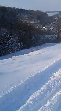 Blick auf Dittwar: links der Steigegraben, rechts der Steigweg (Staach), am 5. März 2006