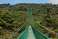 Hanging Bridges in Monteverde