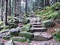 Steinstufenweg entlang der Oberen Kochel