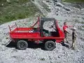 Haflinger im Rundweg des Lünersees