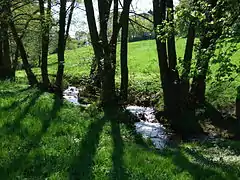 Der Reichenbach im Woogtal (bei Königstein/Ts)