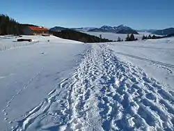 Prinzenweg an der Gindelalm, im Hintergrund der Wendelstein