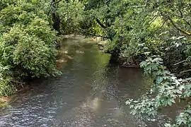 Die Pegnitz bei Rauhenstein