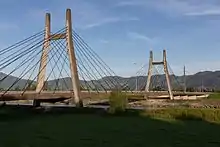 Schrägseilbrücke über den Rhein