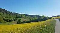 Rückhaltebecken Unterbalbach,talaufwärts zwischen Unter- und Oberbalbach, rechts der Radweg nach Oberbalbach