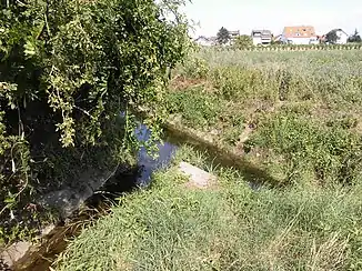 Mündung des Weinbachs in die Marlach