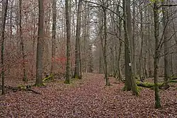 Teilabschnitt des Wanderwegs