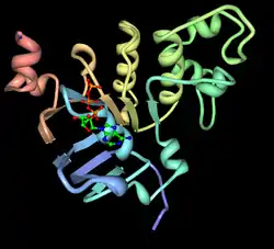 Antigenpeptid-Transporter