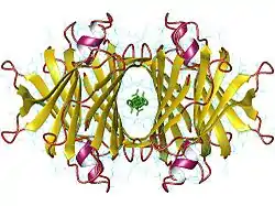 Transthyretin