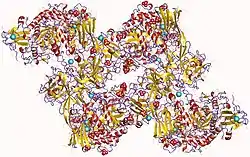 Pullulanase (Klebsiella pneumoniae)