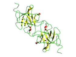 Miraculin (Synsepalum dulcificum)