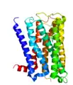 M2-Acetylcholinrezeptor