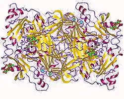 Diaminoxidase