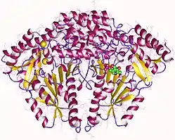 Aromatische-L-Aminosäure-Decarboxylase