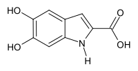 Strukturformel von 5,6-Dihydroxyindol-2-carbonsäure