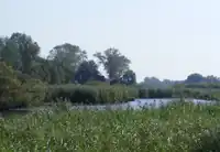 und dieselbe Stelle bei (normalem) Hochwasser