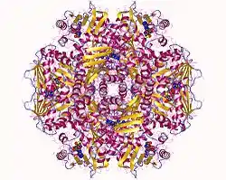 Methyltransferasen