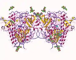 Iduronat-2-sulfatase