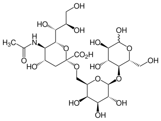 Strukturformel von 6′-Sialyllactose