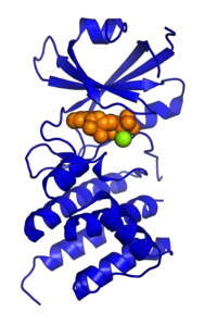 Proteinkinase R