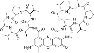 Strukturformel 7-Aminoactinomycin