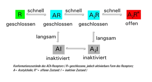 Schaltverhalten