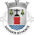 Wappen von Salvador do Monte