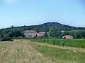 Weinbau im „Massif d’Uchaux“; im Hintergrund das Schloss Saint Estève