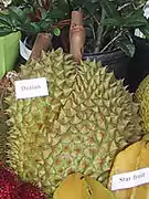 Durian