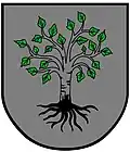 Wappen von Birkfeld