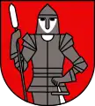 Wappen von Stadtschlaining