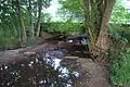 Brücke der Straße In der Stiege von Alhausen nach Bad Driburg. Obwohl die Aa zu diesem Zeitpunkt unterhalb Reelsens oberflächlich versiegt war und auch der Rautebach trocken lag, fließt hier wieder Wasser. Blick stromabwärts. (5. August 2011)